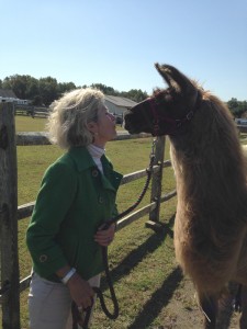 Jane White Llama Walk