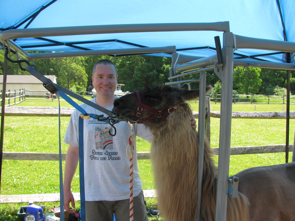 John Leonard Llama Walk