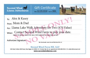 Updated Sample Gift Cert 2018